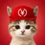 United States Yuan Cat icon