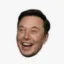 Elon Musk icon