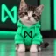 Nearcat icon
