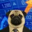 Project Pug icon