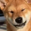 floki icon