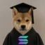 Scholar Inu icon