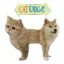 ITS LIKE CAT DOGE icon