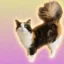 Chai icon