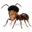 Antsem icon