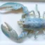 The Ghost Lobster icon
