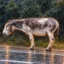 Donkey In Pain icon