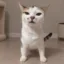 Had Enough icon