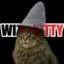 The Wizard Kitty icon