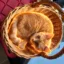 Sol The Cat icon