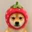 dog wif strawberry icon