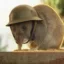 TrenchRat icon