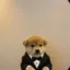 smol icon