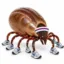 Athletick icon