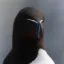 Aura Bird icon