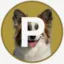 パピコ icon