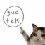 gud tek icon