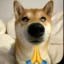 Dog is Praying icon