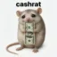 cashrat icon