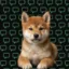 Say hello to PUMPY! icon