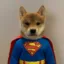 Super icon
