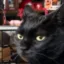 gary orkam oliver magma ichabod icon