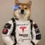 SpaceXSITeslaBoringaLink Inu icon
