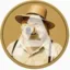 Amishinu icon
