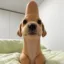 willy icon