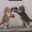 Mike Catson icon