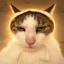 Babushcat icon