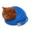CAT6 icon