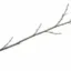 stick icon