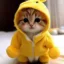 dukcat icon