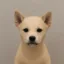 rawdog icon