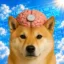 Cognitinu icon