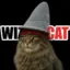 The Wizard Cat icon