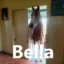 Bella icon