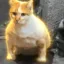 chadcat icon