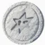 Snowcoin icon
