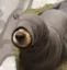 doginhood icon