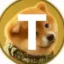 Tozuke Coin icon