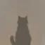 Montoshi Nakamoto icon