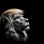 The Lion icon