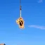 The Flying Cow icon