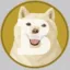Brutuscoin icon