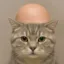 Dickpussy icon