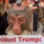PETA Monkey icon