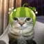 Melonie icon