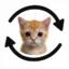 Cat Transaction icon